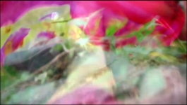 Prem Pratigya - 12th July 2025